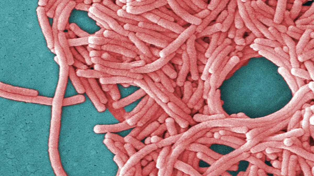 legionnaires-disease-outbreak-in-melbourne-triggers-health-alert