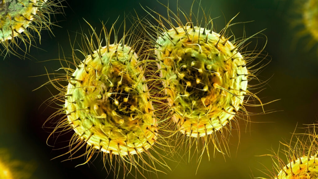 meningitis-outbreak-at-university-of-kent-highlights-vaccine-policy-gaps