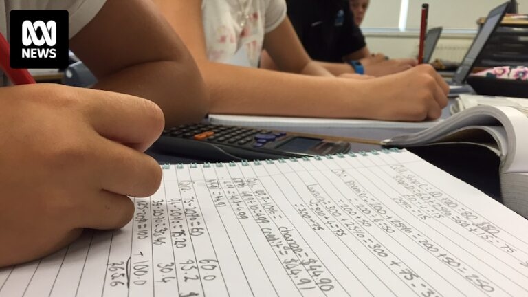 naplan-resumes-nationwide-after-technical-glitch-halts-online-testing