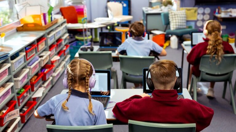 naplan-testing-disrupted-nationwide-by-online-platform-outage