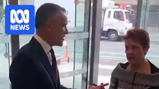 pauline-hanson-clashes-with-sa-premier-as-one-nation-maintains-strong-poll-support