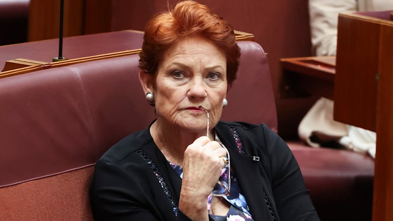 pauline-hanson-faces-scrutiny-over-9000-charter-flight-to-rinehart-event