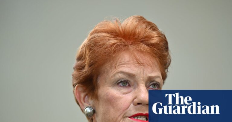 pauline-hanson-s-taxpayer-funded-travel-raises-ethical-questions