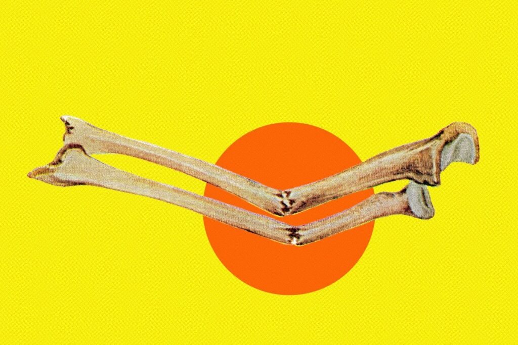 rising-co2-levels-threaten-human-bone-health-study-finds