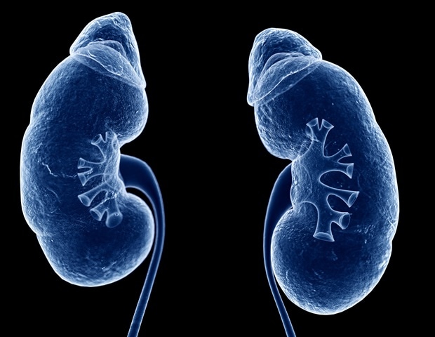 study-reveals-challenges-in-hydration-programs-for-kidney-stone-prevention