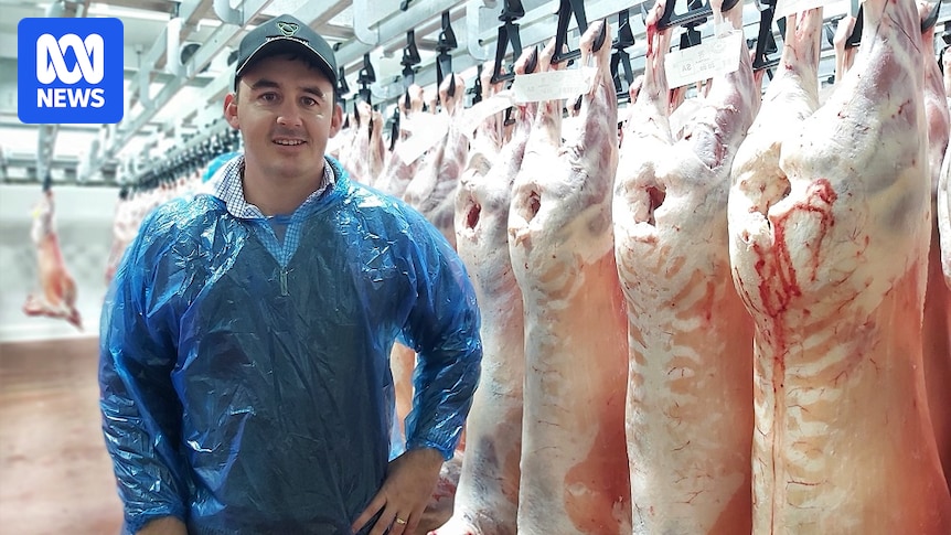 tasmania-s-lamb-exporter-faces-market-crisis-amid-middle-east-conflict