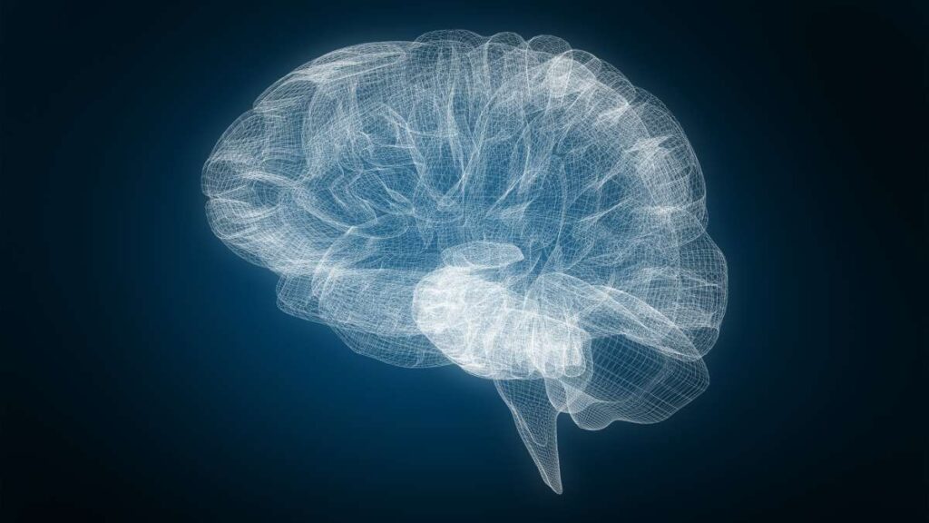 ucla-study-reveals-how-brain-activity-shapes-group-dynamics-in-animals