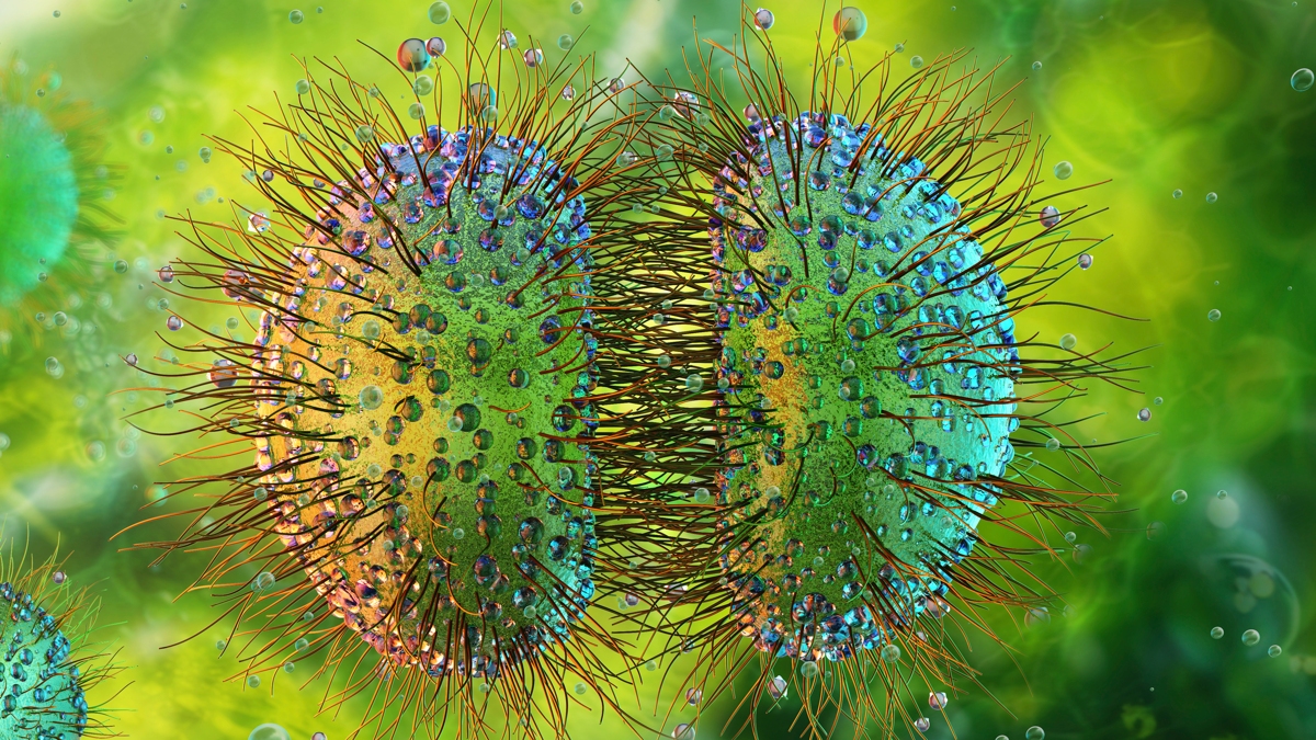 uk-faces-unprecedented-meningitis-outbreak-with-27-cases-linked-to-nightclub