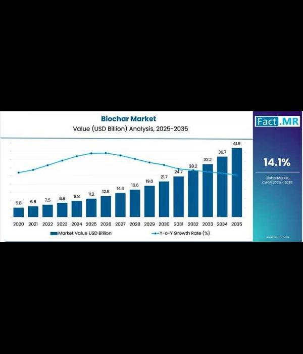 global-biochar-market-set-to-surge-to-usd-41-9-million-by-2035